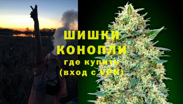гашик Костерёво
