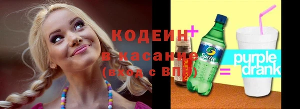 гашик Костерёво