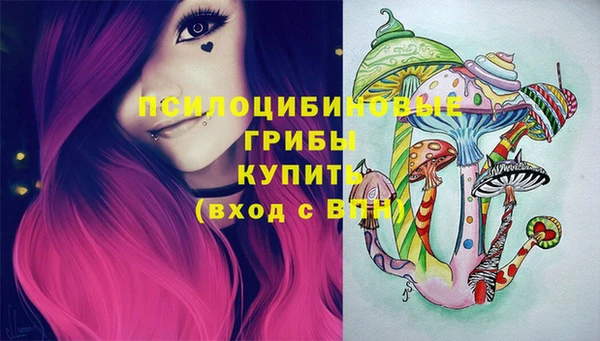 дурь Козловка