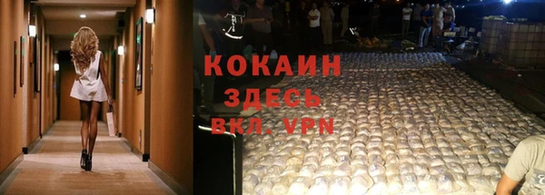 гашик Костерёво