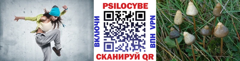 Псилоцибиновые грибы Magic Shrooms  Элиста 