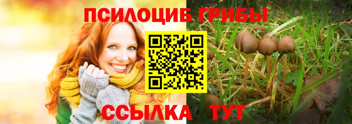 купить закладку  Вход с VPN  Элиста  Псилоцибиновые грибы ЛСД 